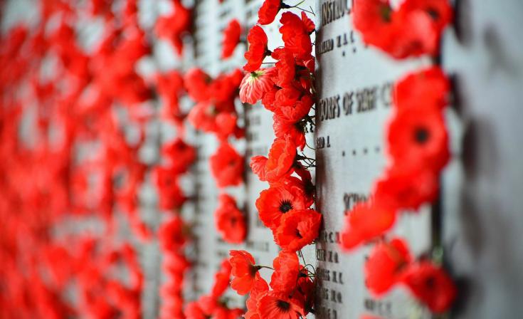 Red poppies in war memorial